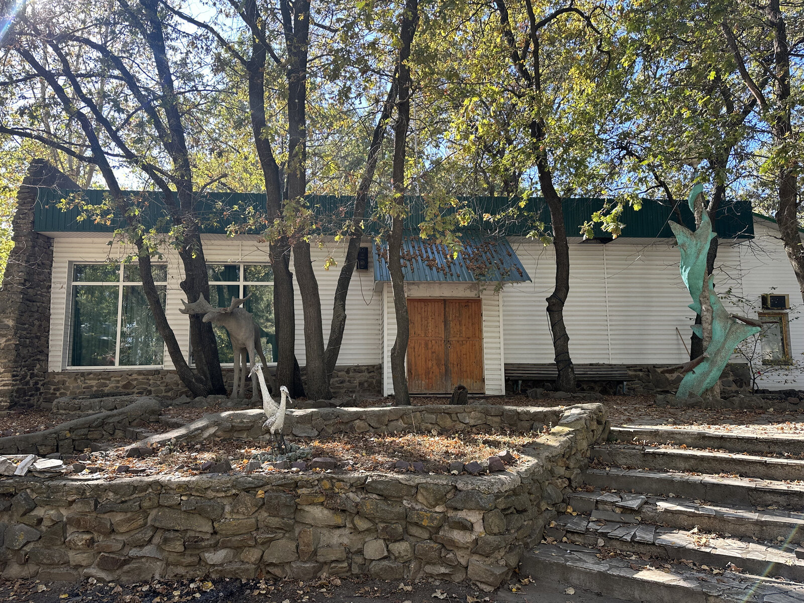 Фото 8 из отзыва о базе отдыха Лада