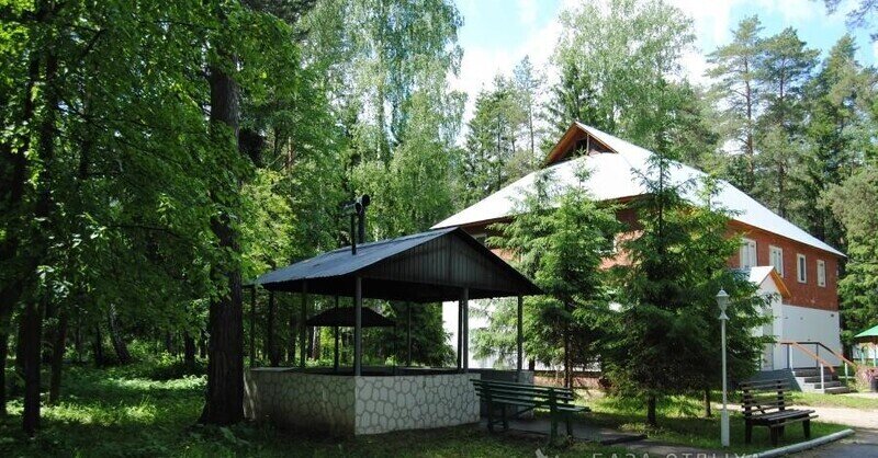 Тонус, Республика Татарстан: фото 4