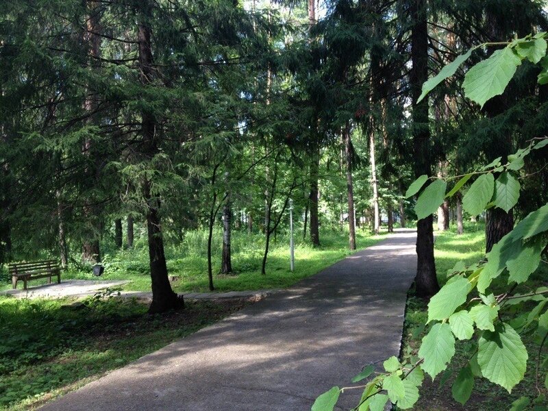 Тонус, Республика Татарстан: фото 2