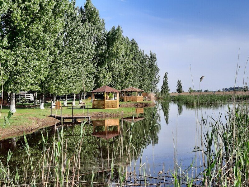 Остров Колочный, Астраханская область: фото 2