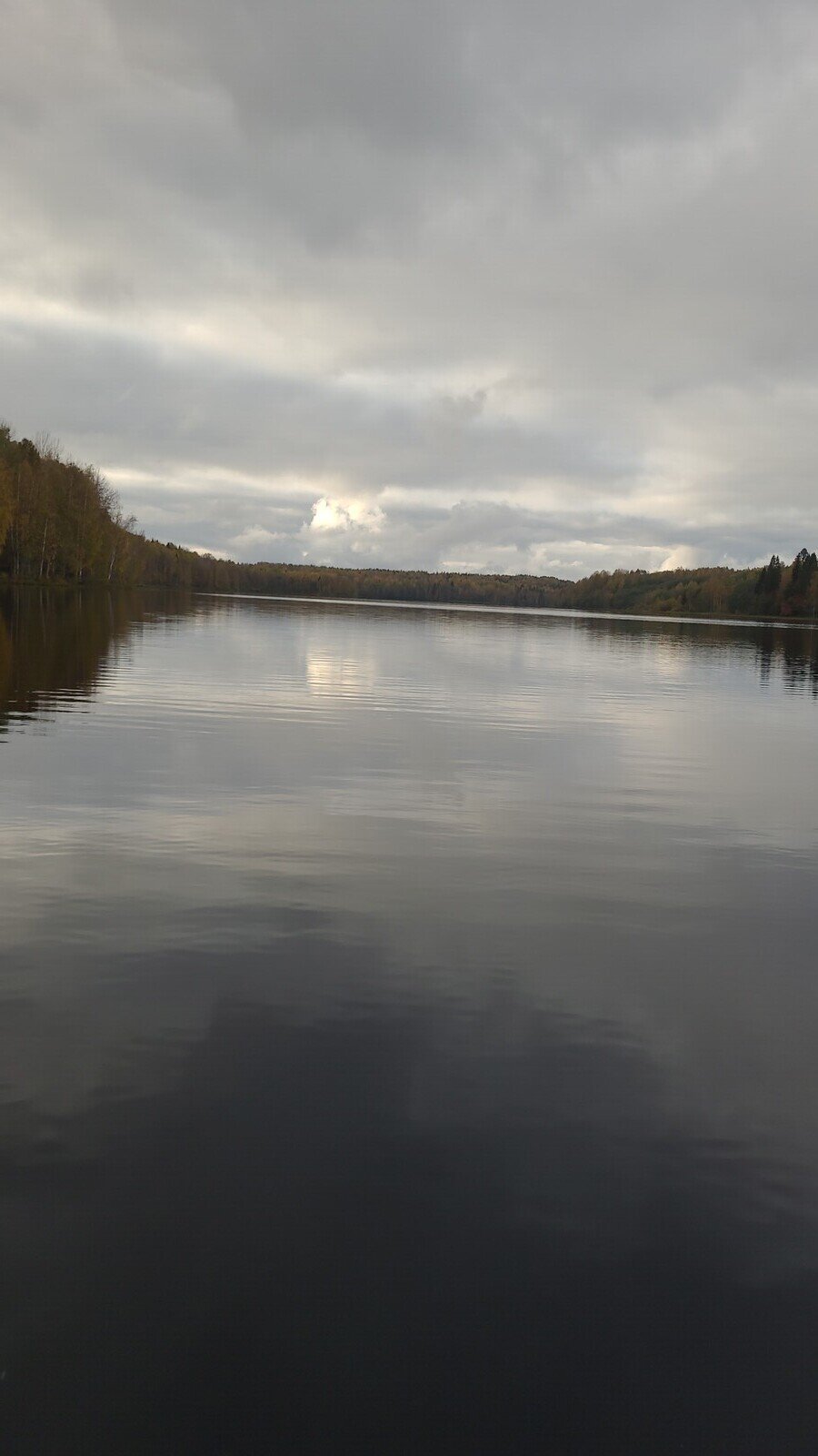 Фото 34 из отзыва о базе отдыха Лесное озеро