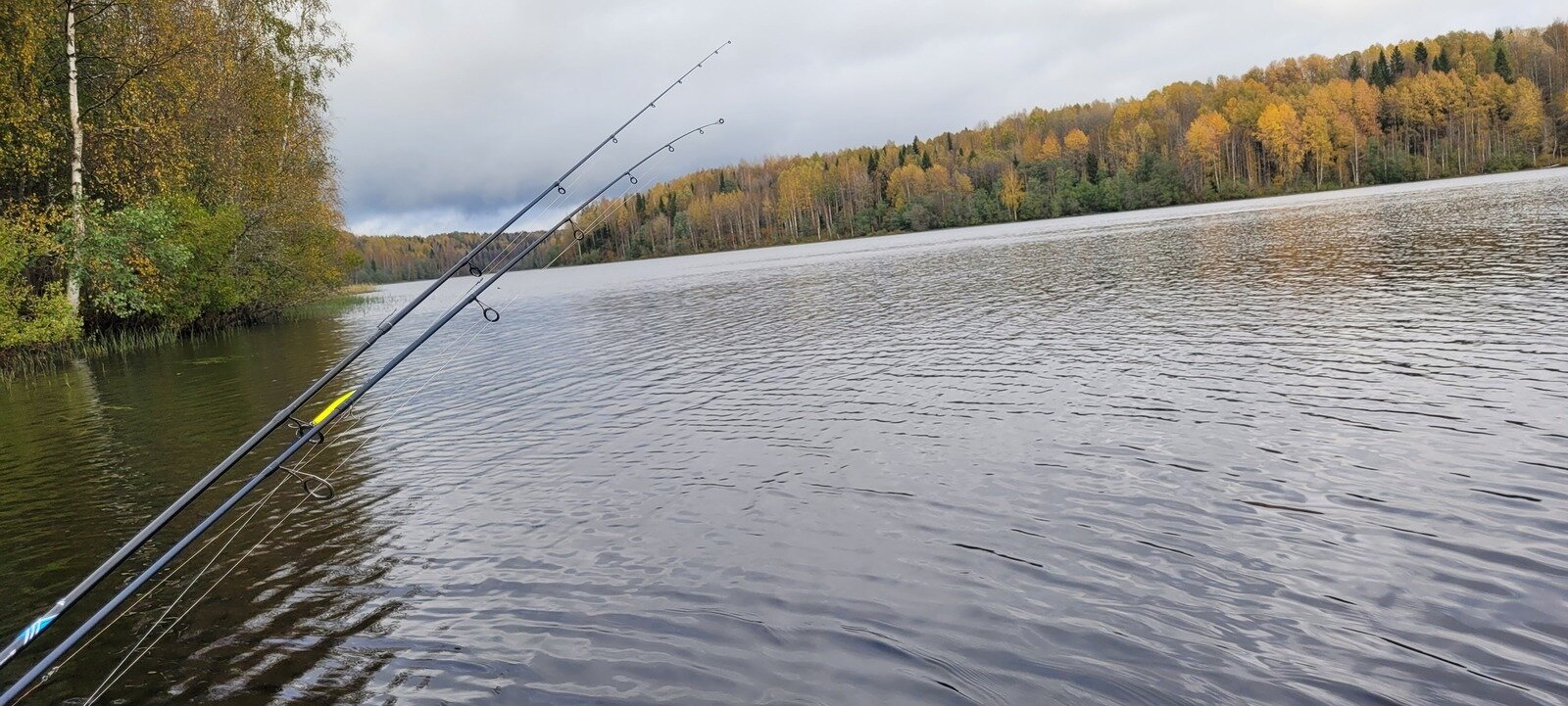 Фото 35 из отзыва о базе отдыха Лесное озеро