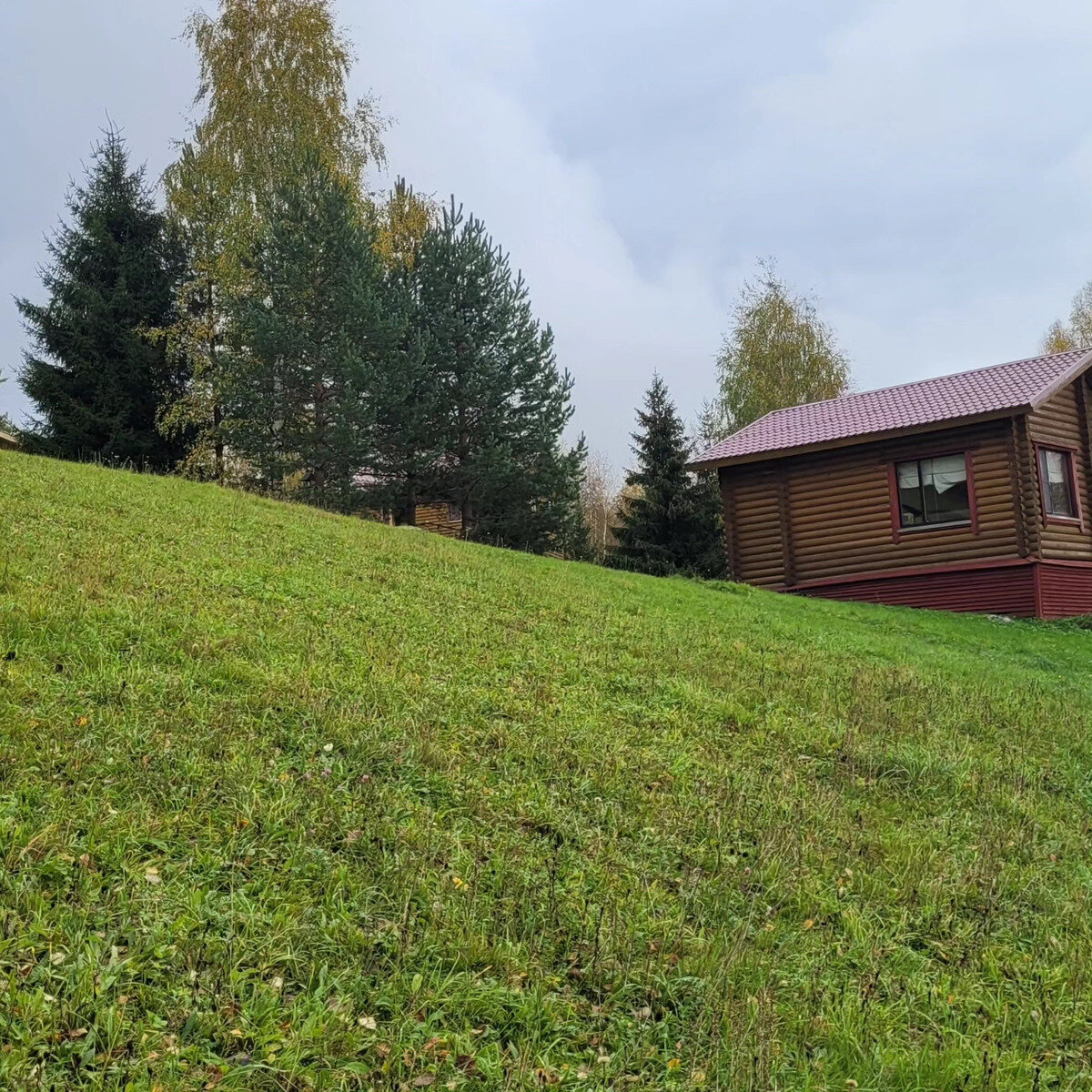 Фото 39 из отзыва о базе отдыха Лесное озеро