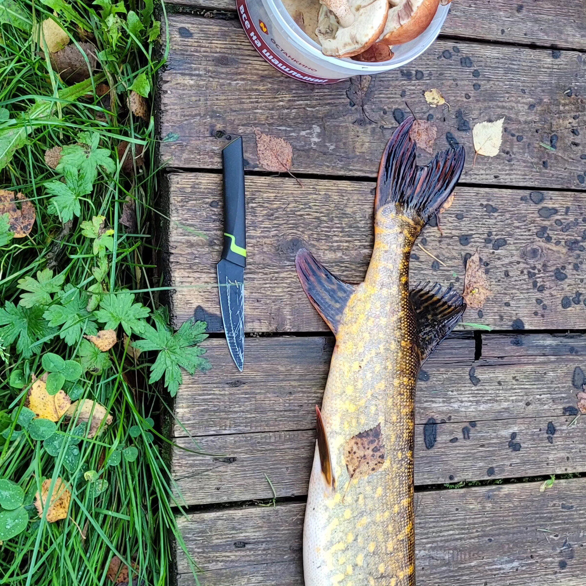 Фото 37 из отзыва о базе отдыха Лесное озеро