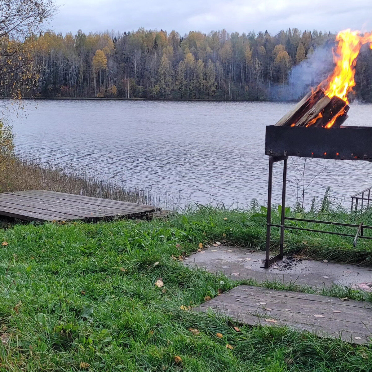 Фото 33 из отзыва о базе отдыха Лесное озеро