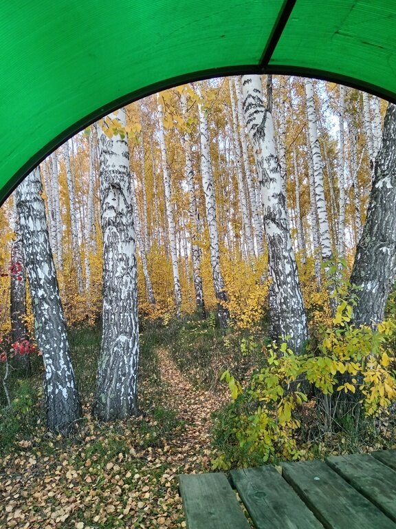 Фото из отзыва от 06.10.2023