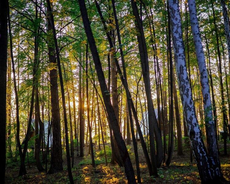 Эко-отель Светлячок, Челябинская область: фото 5