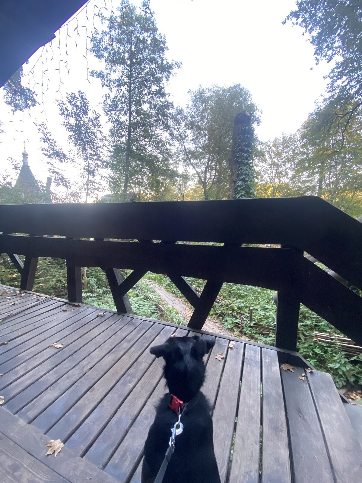 Фото 11 из отзыва о базе отдыха Хутор Калина Красная