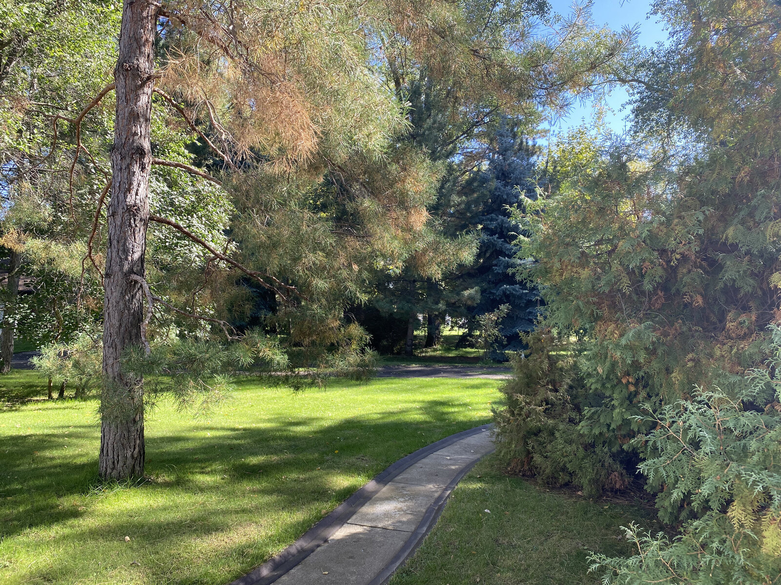 Фото 11 из отзыва о загородном клубе Андреев Клаб