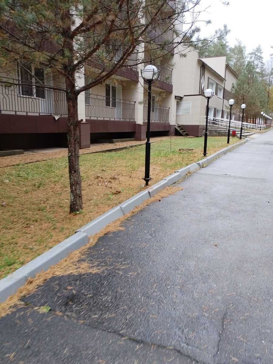 Фото 13 из отзыва о парк-отеле Премьера