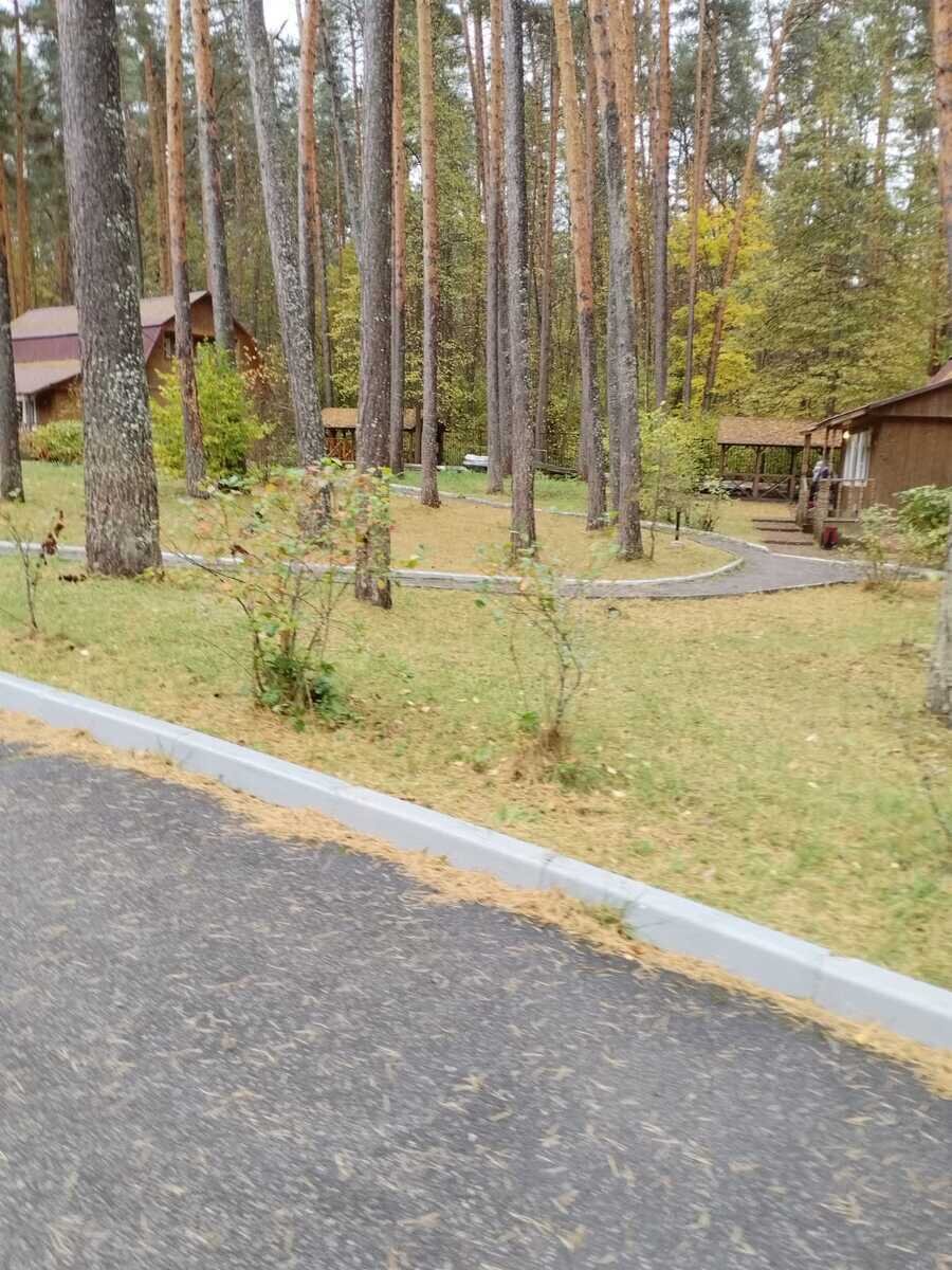 Фото 14 из отзыва о парк-отеле Премьера