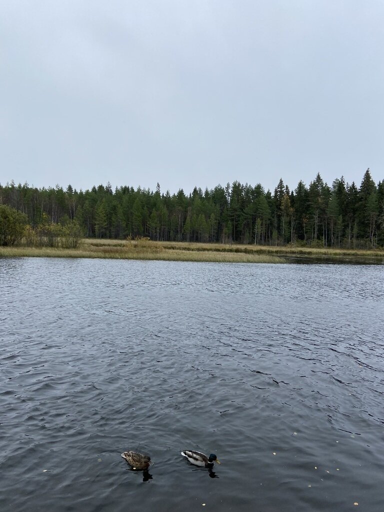 Фото из отзыва от 06.10.2023