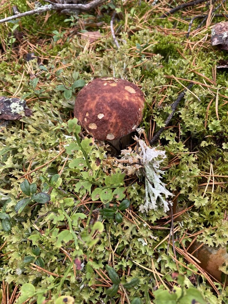 Фото из отзыва от 06.10.2023