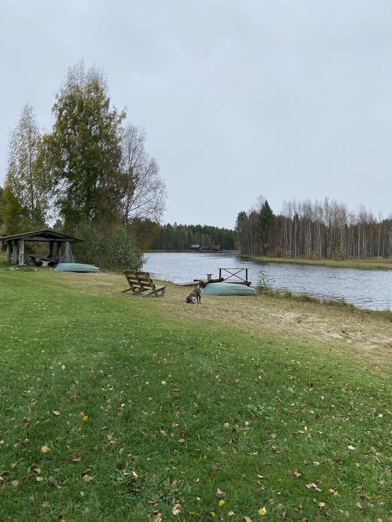 Фото из отзыва от 06.10.2023