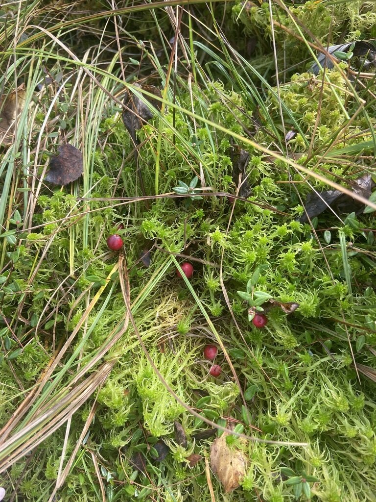 Фото из отзыва от 06.10.2023