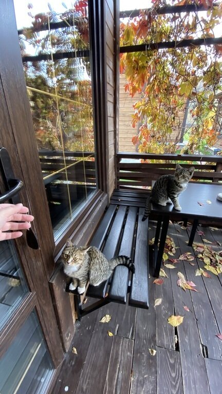 Фото из отзыва от 12.10.2023