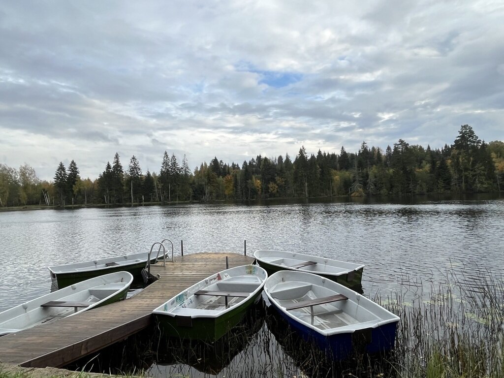 Фото из отзыва от 14.10.2023