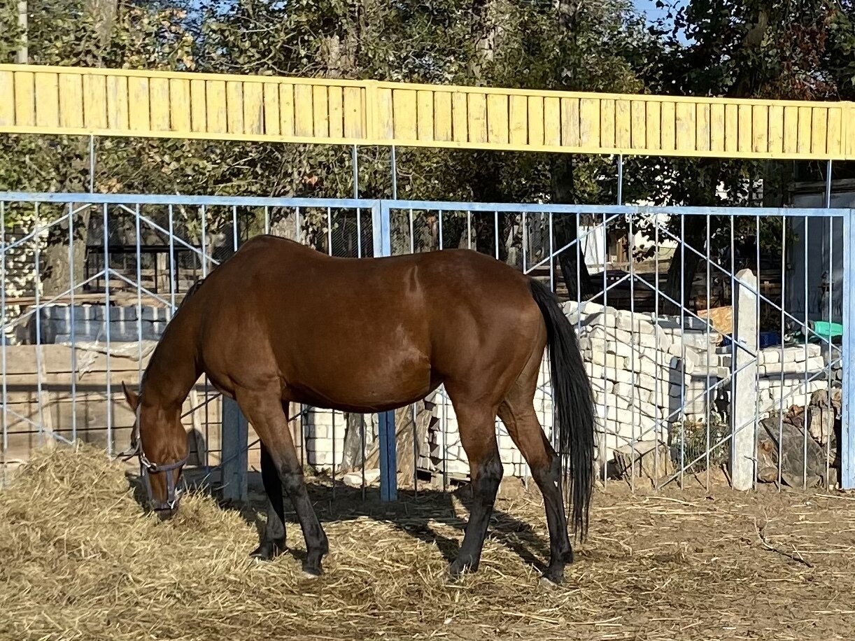Фото 191 из отзыва о базе отдыха Донская Миля