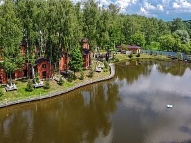 Золотая рыбка, Московская область: фото 2