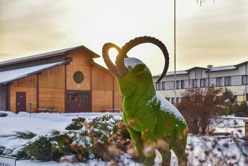 Отель Покровское-Дивное, Московская область: фото 5