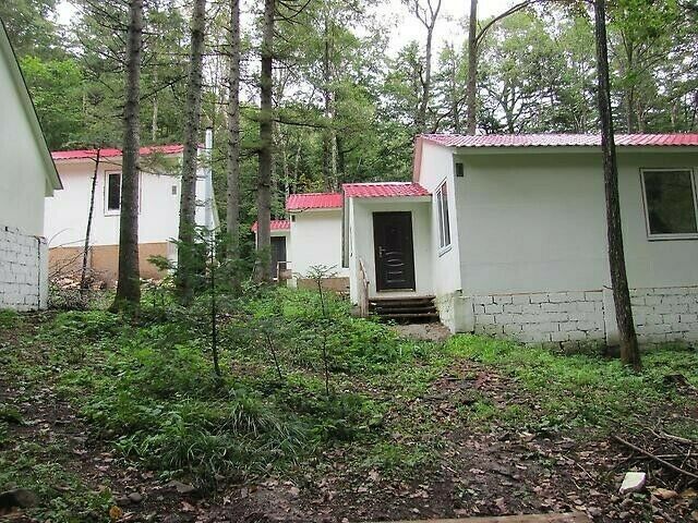 Ливадия-Хутор, Приморский край: фото 2