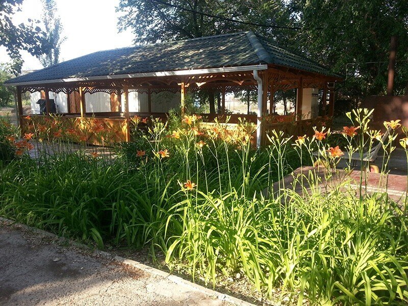 Центральная