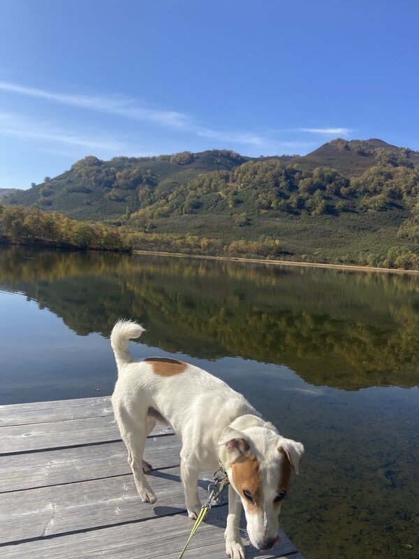 Фото 3 из отзыва о спа-отеле Лагуна