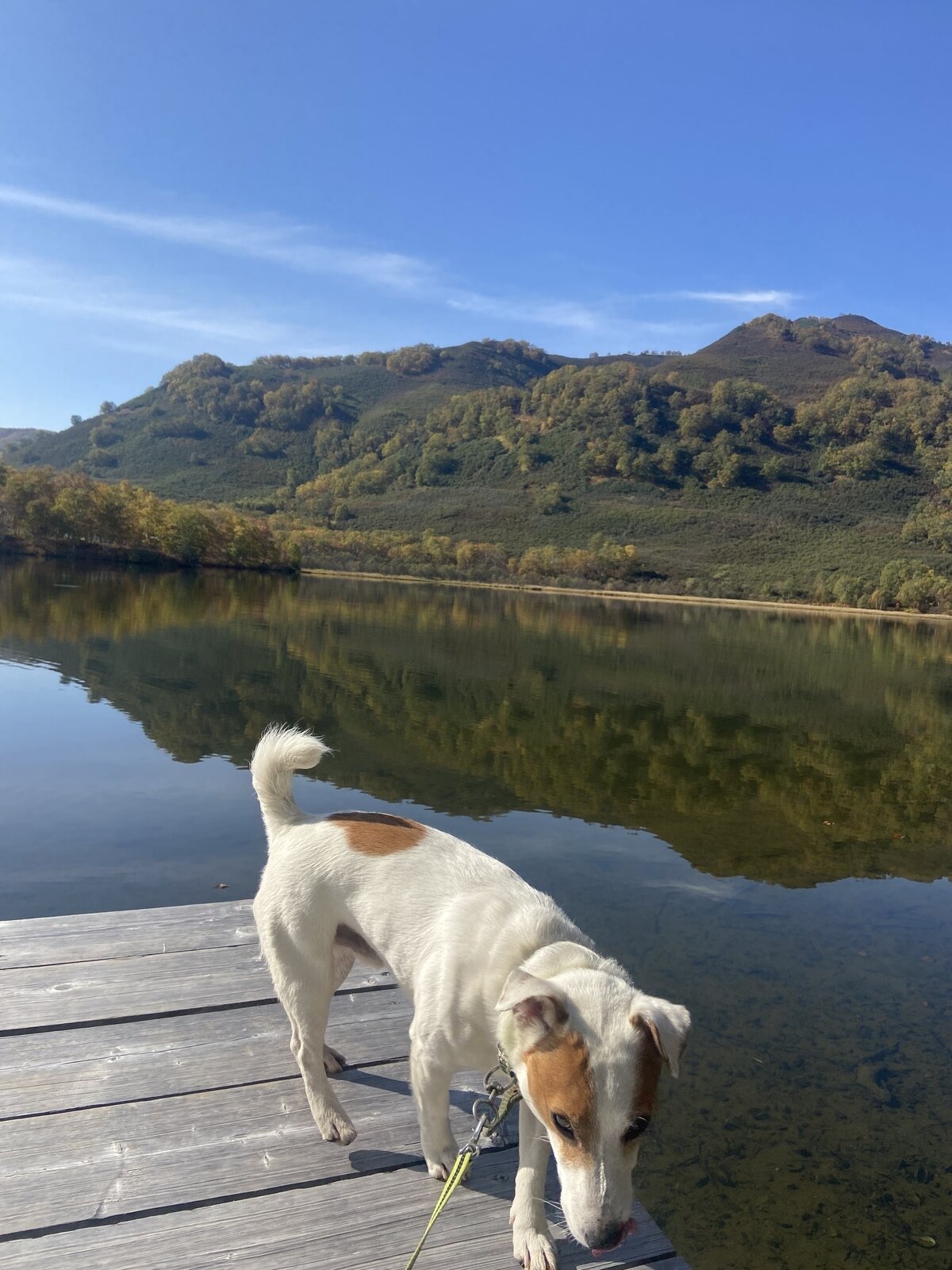 Фото 3 из отзыва о спа-отеле Лагуна