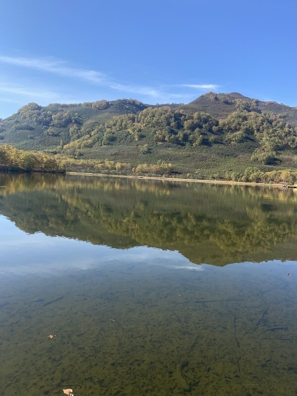 Фото 1 из отзыва о спа-отеле Лагуна