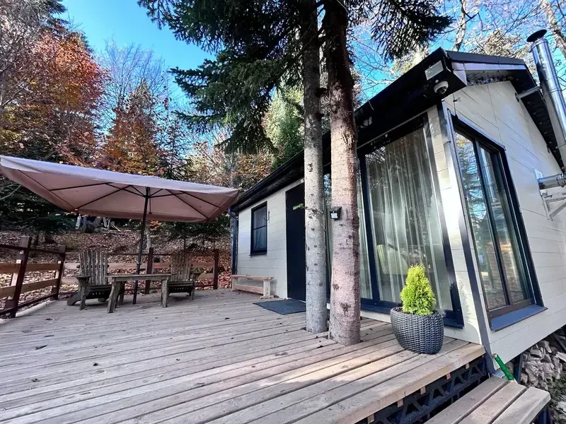 Счастливый лось, Республика Карачаево-Черкесия: фото 2