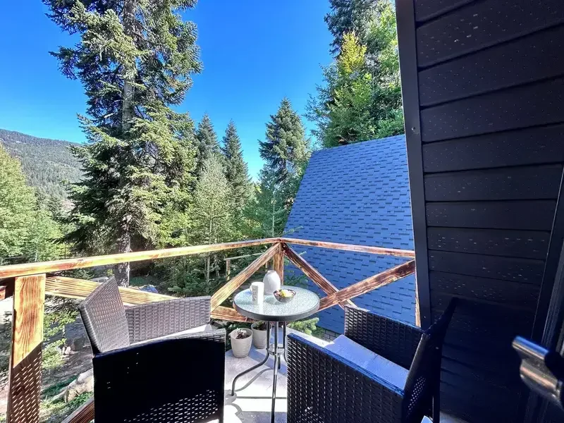 Счастливый лось, Республика Карачаево-Черкесия: фото 5