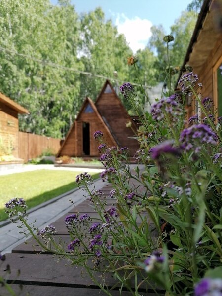 LES, Челябинская область: фото 3