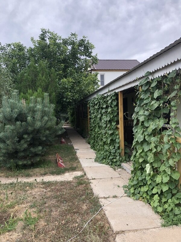 Клёвый хуторок, Астраханская область: фото 5