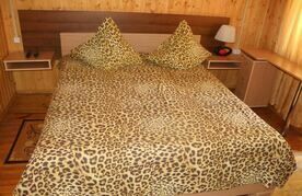 Номер «Полулюкс» (4-х местный), База отдыха Дарданеллы, село Затон