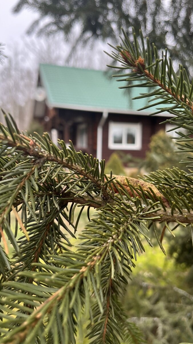 Фото 19 из отзыва о базе отдыха На Маклоке