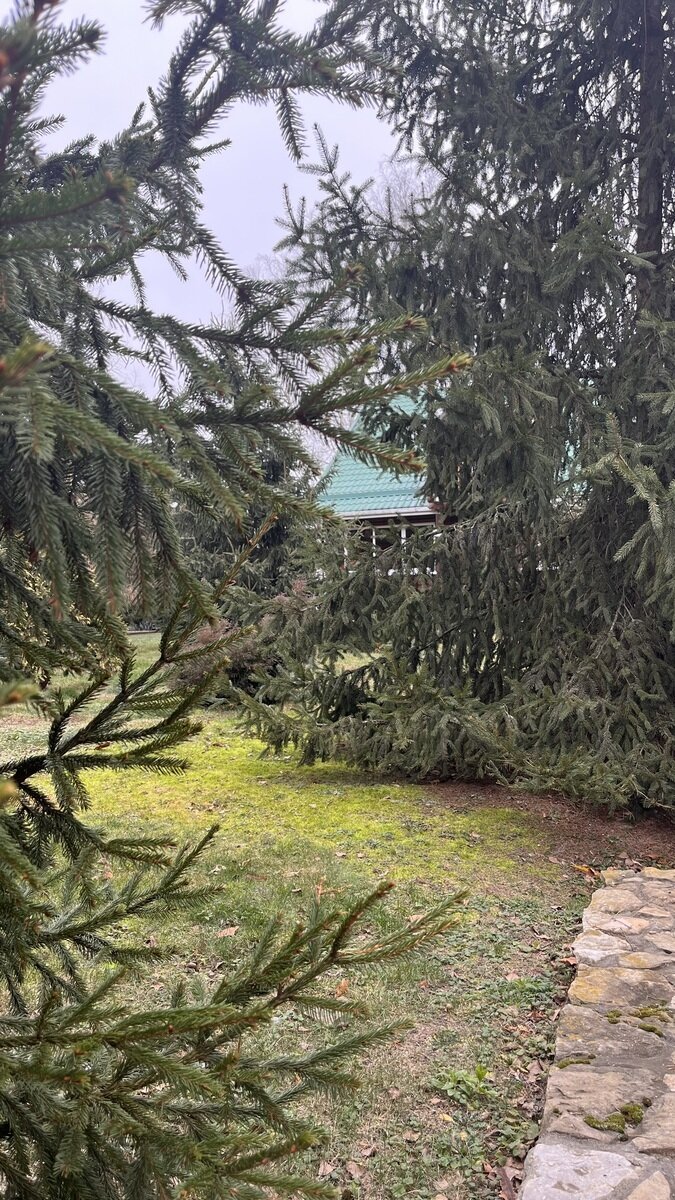 Фото 20 из отзыва о базе отдыха На Маклоке