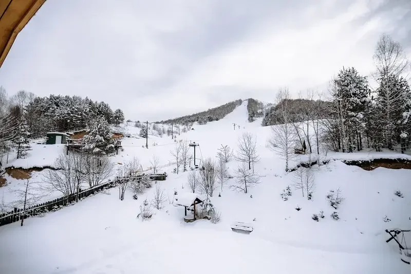 Шале Яковка, Алтайский край: фото 2