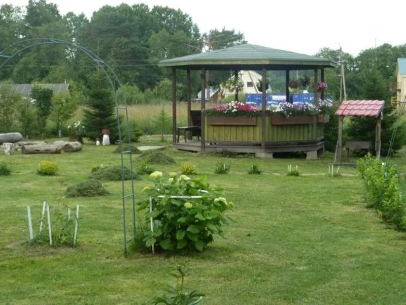 Хутор Белой Козы, Ленинградская область: фото 4