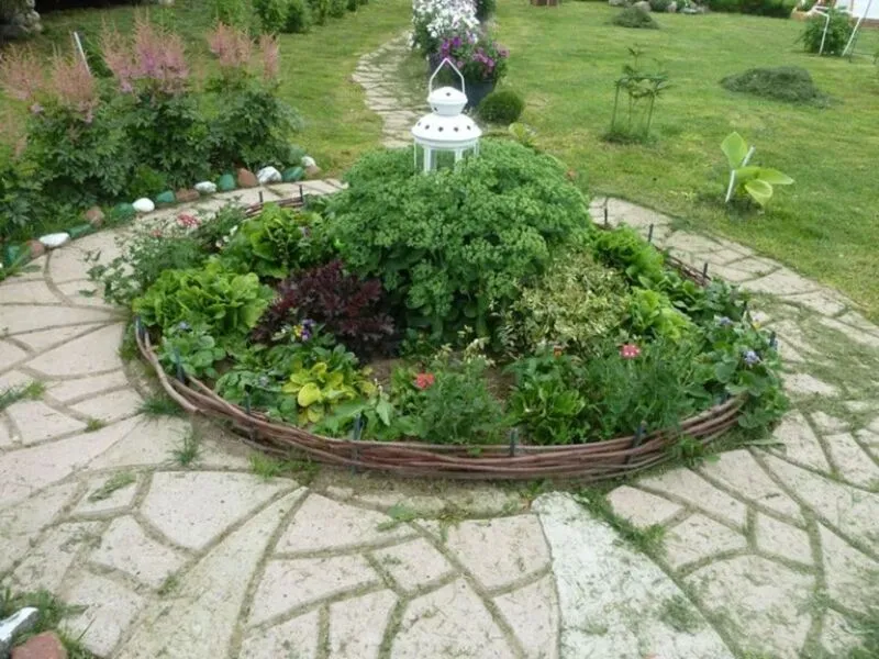 Хутор Белой Козы, Ленинградская область: фото 5