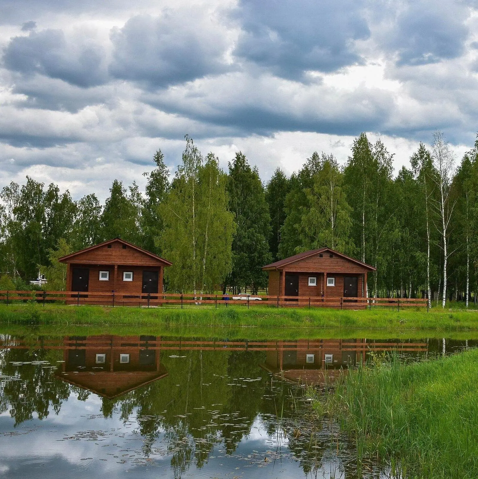 Некрасовская дача, Ярославская область: фото 3