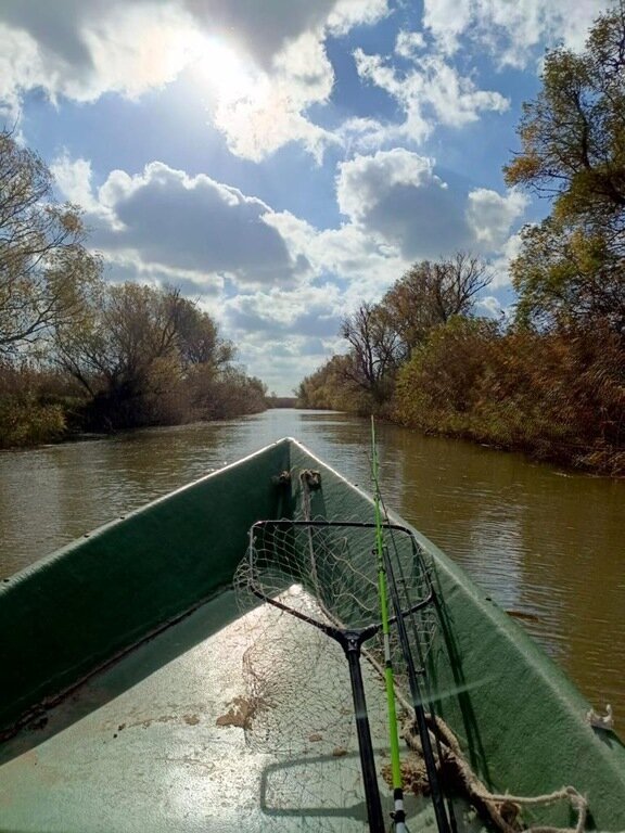 Фото из отзыва от 20.11.2023