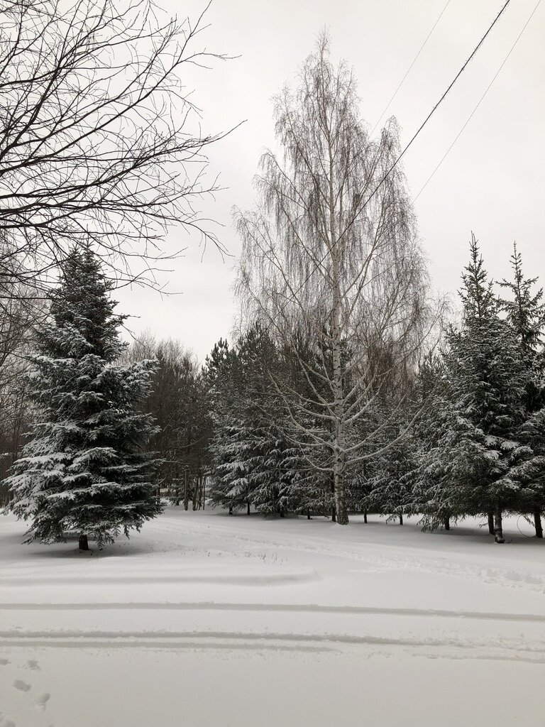 Фото из отзыва от 19.11.2023