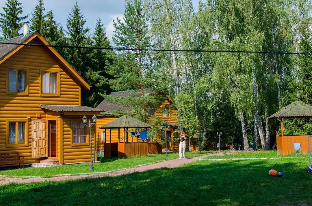 База отдыха Березовая роща, Алексинский, Тульская область