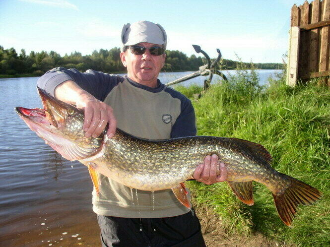 Биосфера, Тверская область: фото 4