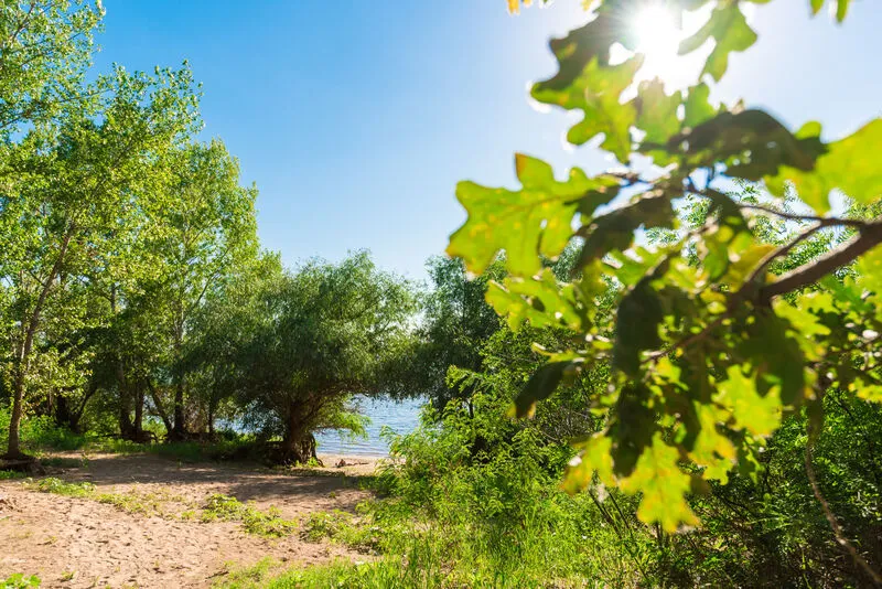 Зеленая роща, Волгоградская область: фото 2