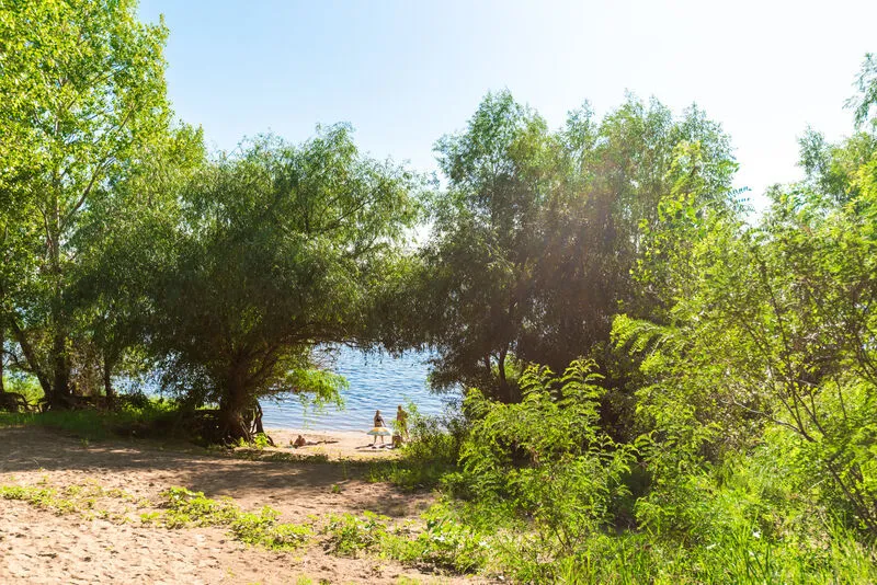 Зеленая роща, Волгоградская область: фото 3