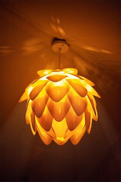 Люкс Бунгало 2-местный (Глэмпинг, Жемчужина леса)