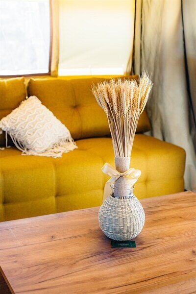 Люкс Бунгало 2-местный (Глэмпинг, Жемчужина леса)