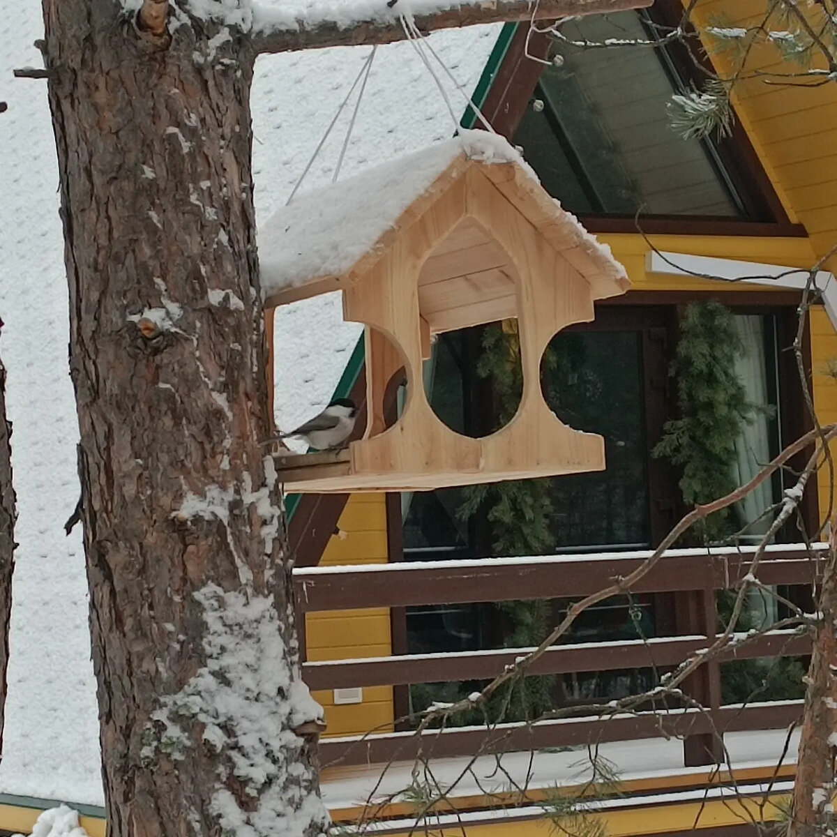 Фото 7 из отзыва о глэмпинге Бард Вилладж