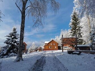 Дома в аренду Лесное озеро